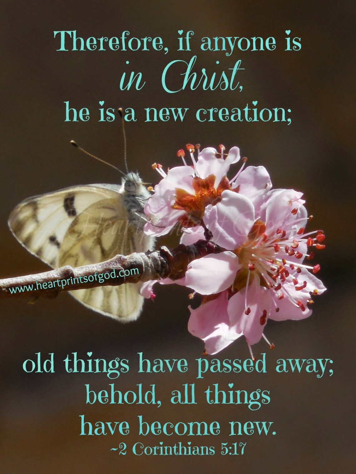 Springing Forward, New Creation in Christ