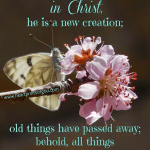 Springing Forward, New Creation in Christ