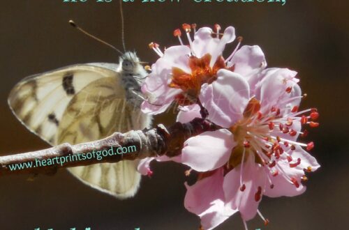 Springing Forward, New Creation in Christ