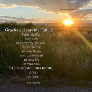 Fully Alive In Jesus' Precious Name: A Collection of Morning Prayers